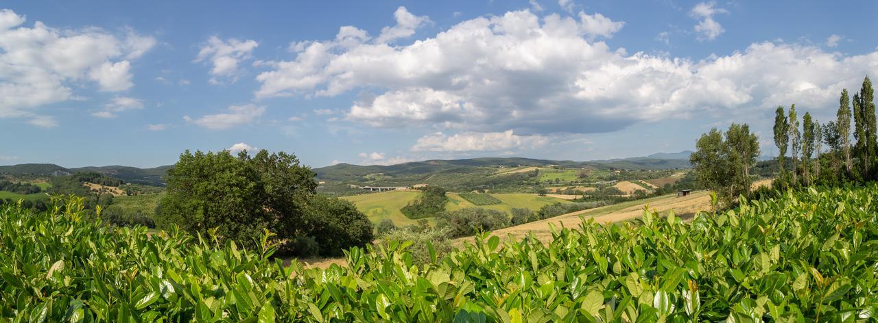 Agriturismo Dei Casali Amelia Εξωτερικό φωτογραφία